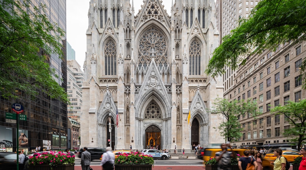 มหาวิหาร St Patrick's Old Cathedral