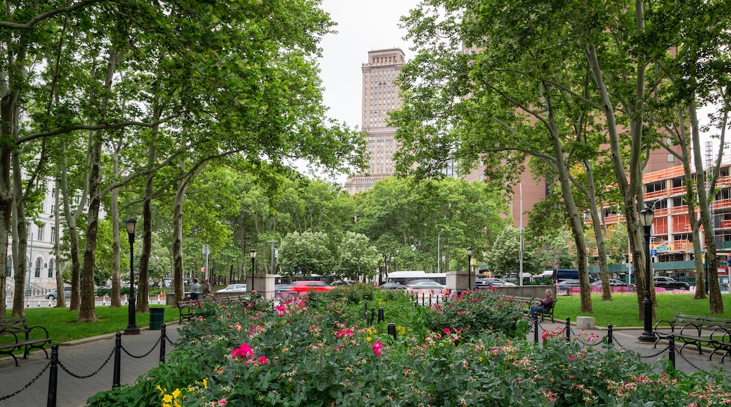 Cadman Plaza Park which includes a park and wildflowers