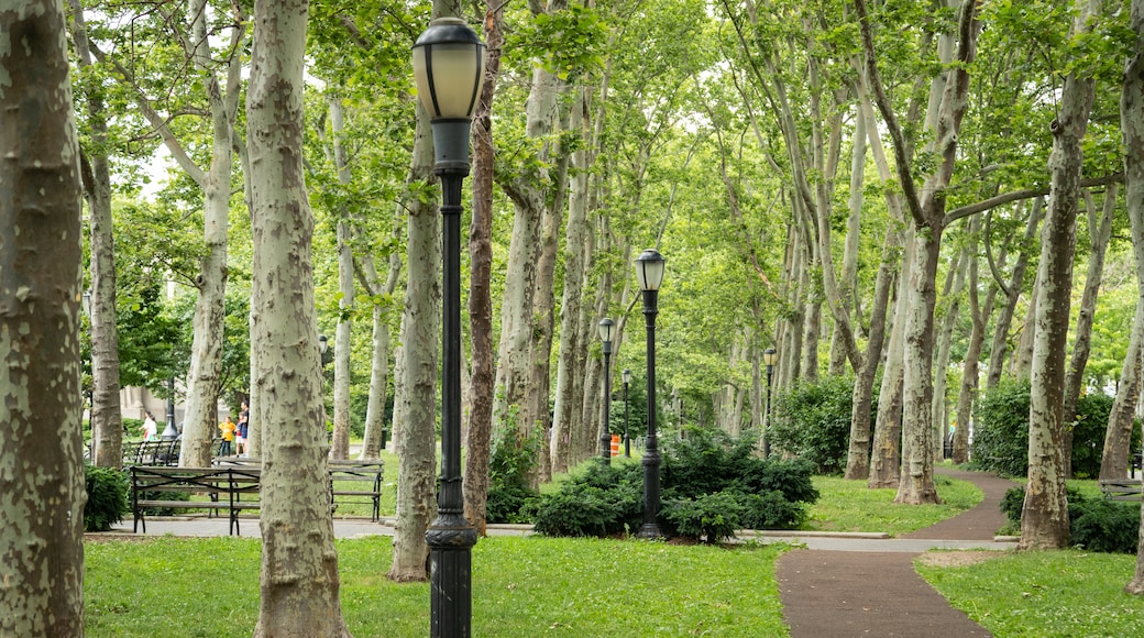 卡德曼廣場公園