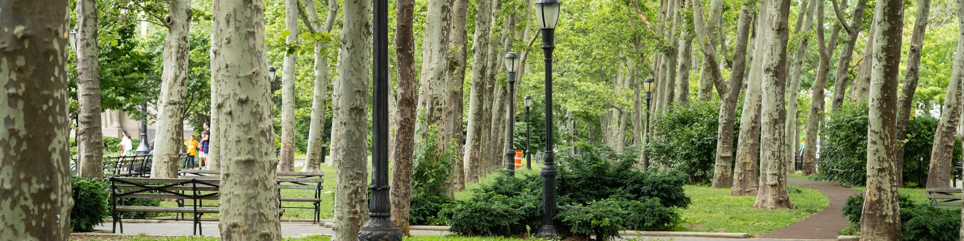 Cadman Plaza Park which includes a park