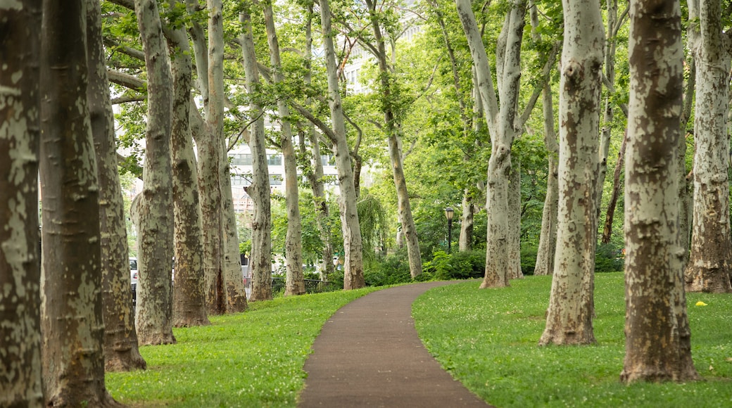 Cadman Plaza Park which includes a park