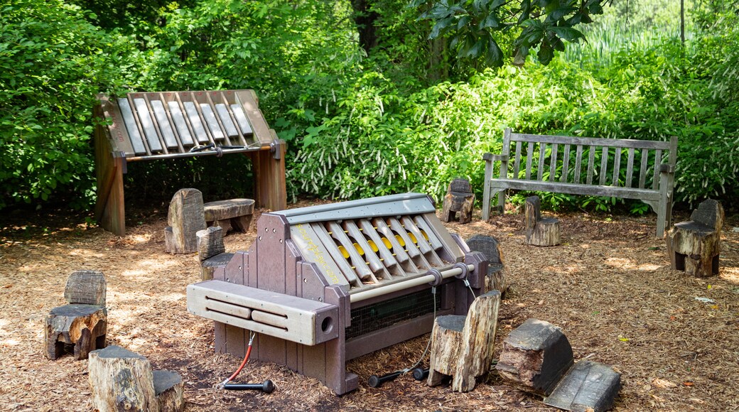 Everett Children's Adventure Garden