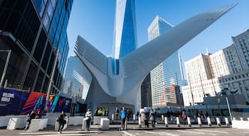 The Oculus which includes outdoor art, street scenes and a city