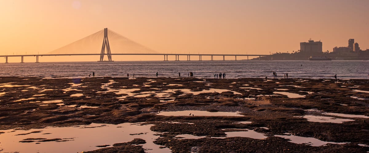 Bandra-Worli Sea Link featuring a sunset, a river or creek and a bridge