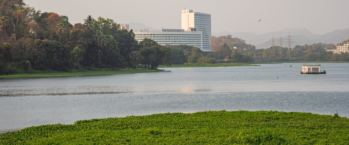 Powai Lake showing a river or creek