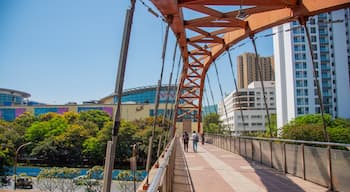 Thane showing a city and a bridge as well as a couple