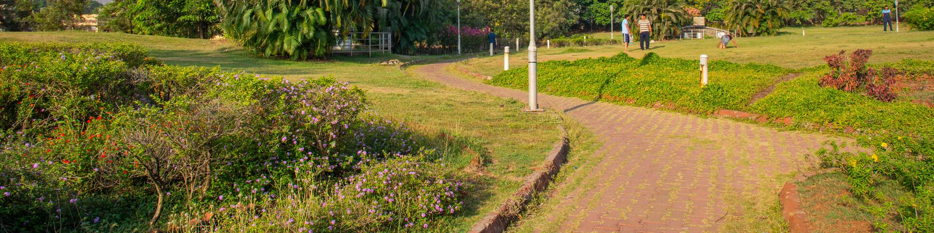 Central Park, Navi Mumbai showing a garden