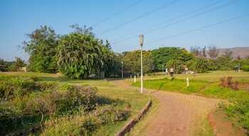 Central Park, Navi Mumbai showing a garden