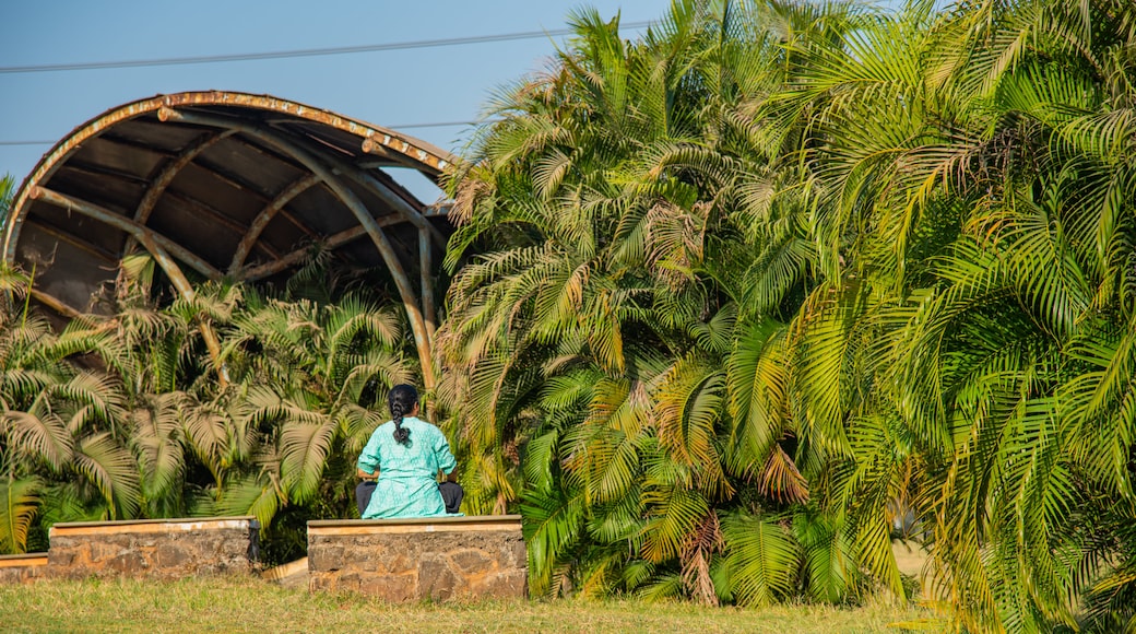 Central Park, Navi Mumbai showing a garden as well as an individual femail