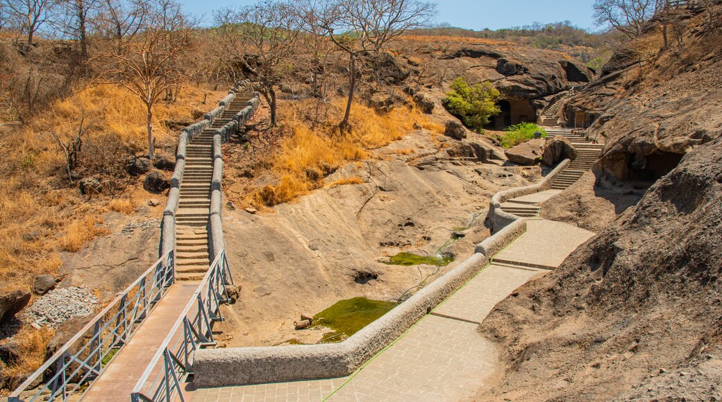 Kanheri Caves featuring tranquil scenes and a garden