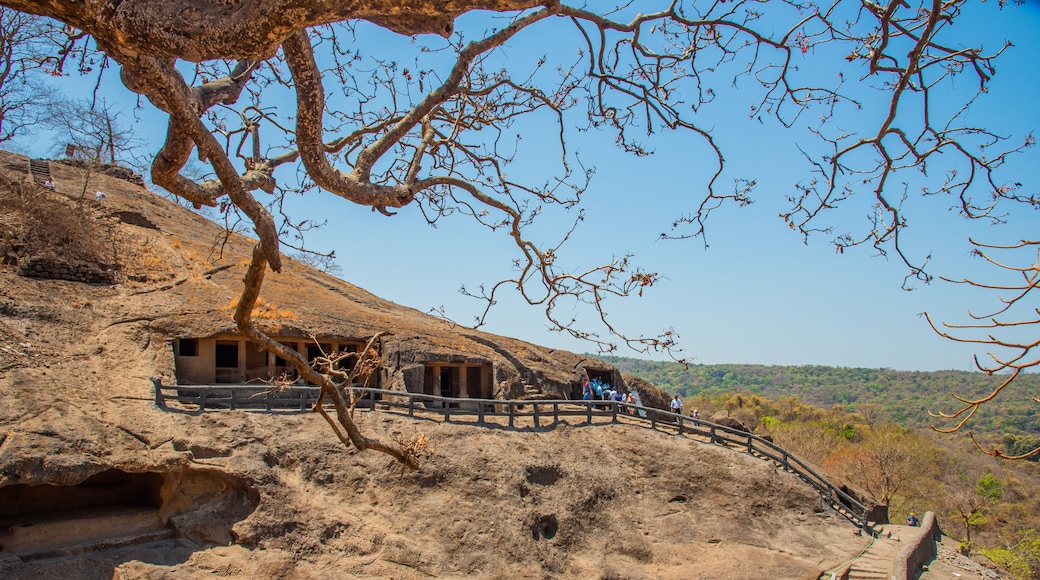 Kanheri Caves featuring a garden and tranquil scenes