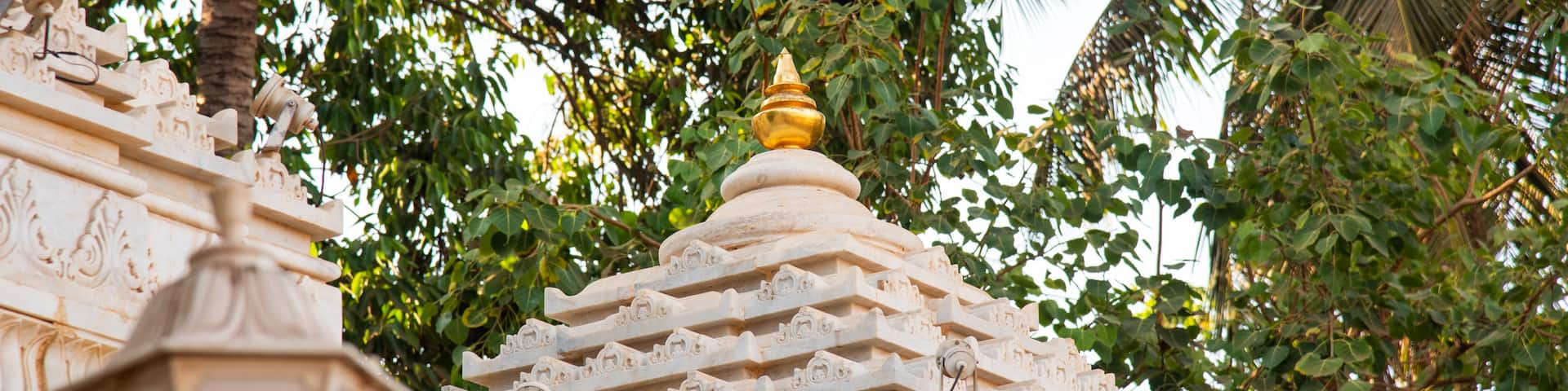 Shivaji Park which includes heritage elements