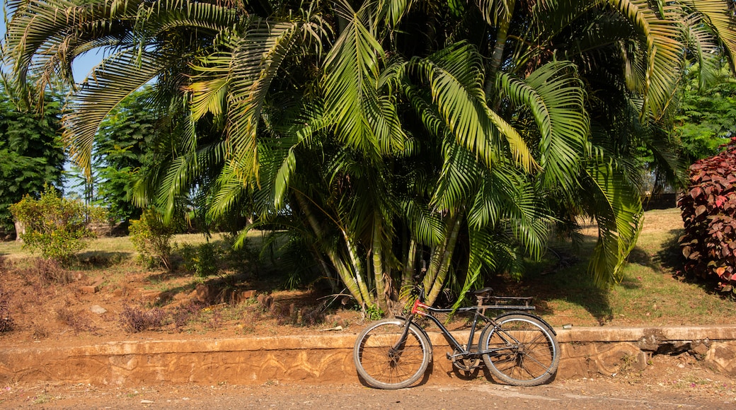 Central Park, Navi Mumbai showing a park