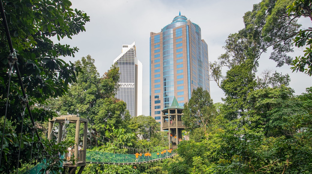 Bukit Nanas Forest Reserve which includes a city and a suspension bridge or treetop walkway