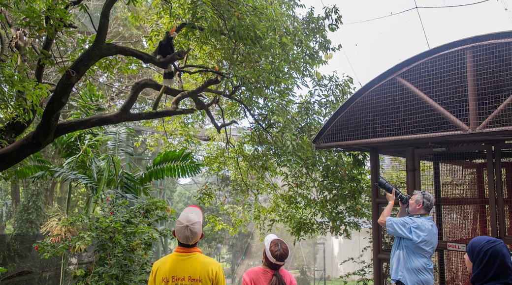 Vogelpark van Kuala Lumpur