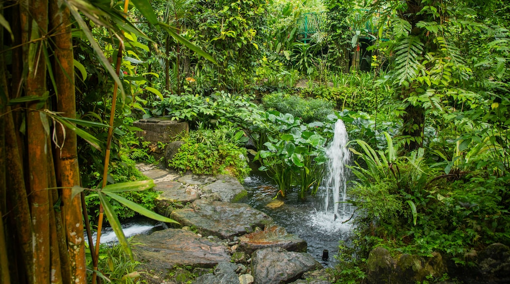 Butterfly Park which includes a fountain and a garden