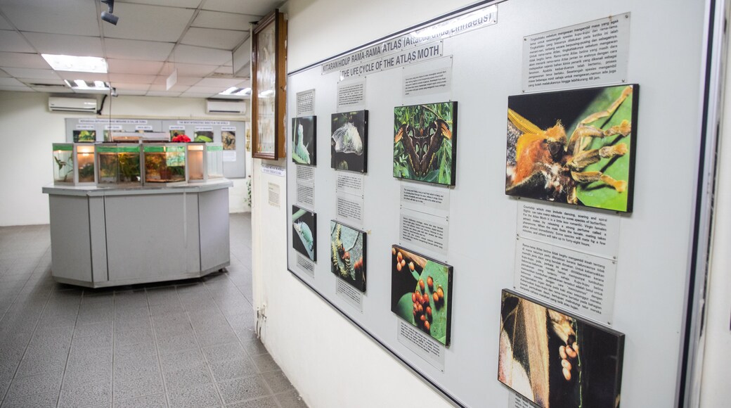 Butterfly Park featuring signage and interior views