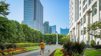 Federal Reserve Bank of Atlanta showing cuddly or friendly animals, a park and a city