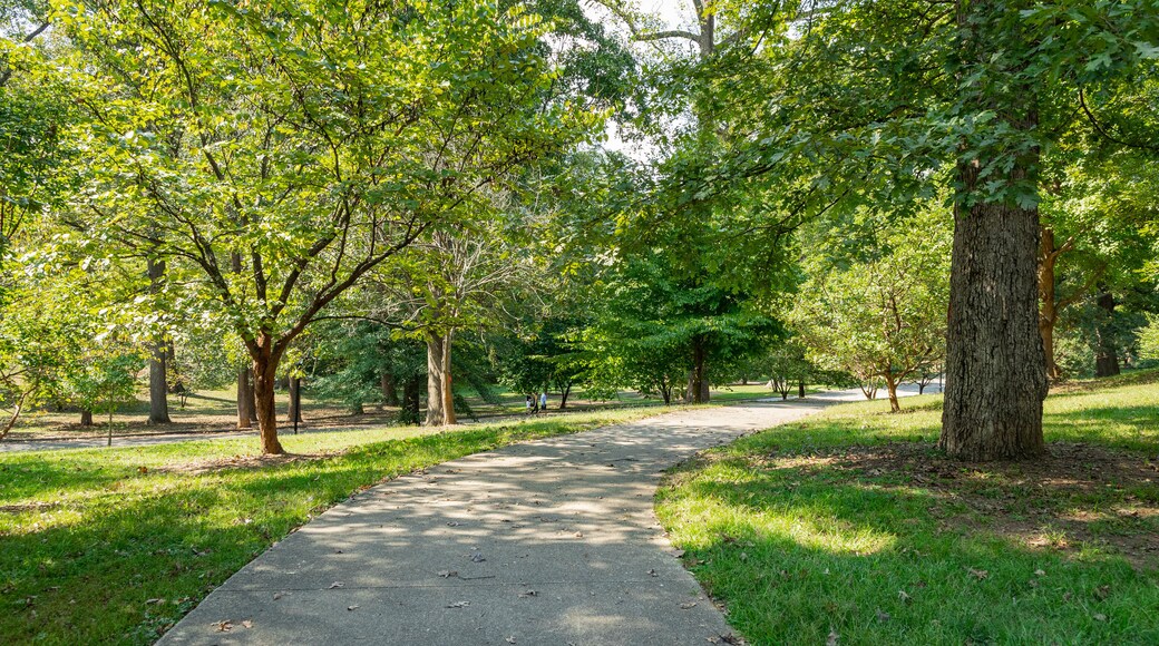 Grant Park showing a park