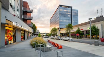 The Gulch showing a sunset, street scenes and a city