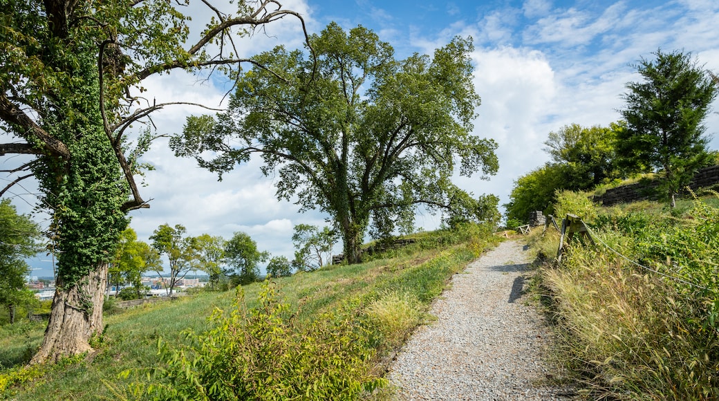 Fort Negley Park