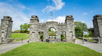 Fort Negley Park showing a garden and heritage elements