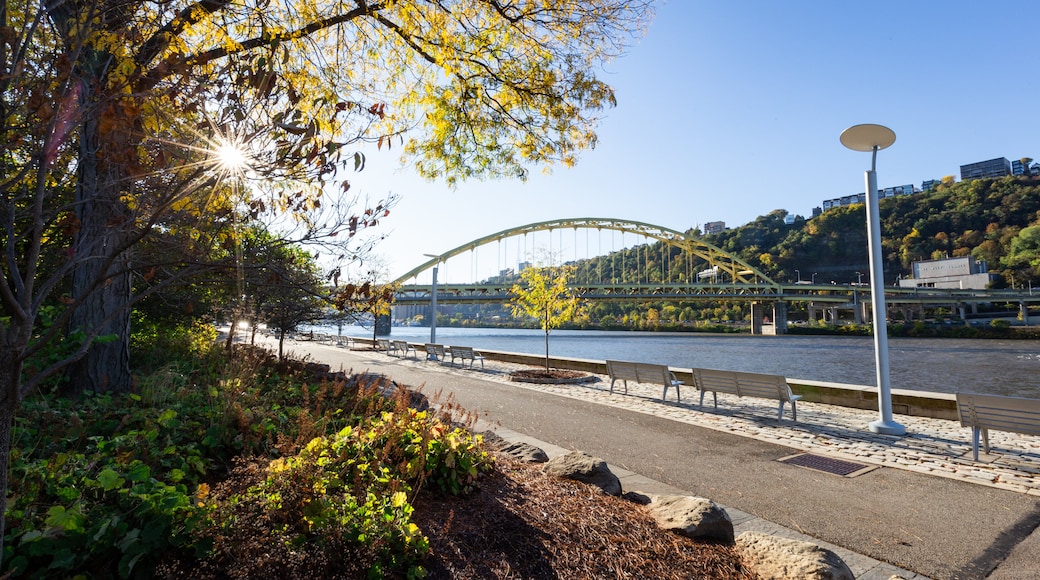 Point State Park which includes a garden, a river or creek and a city