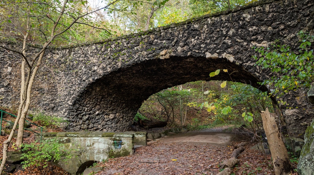 Schenley Park showing a garden and a bridge