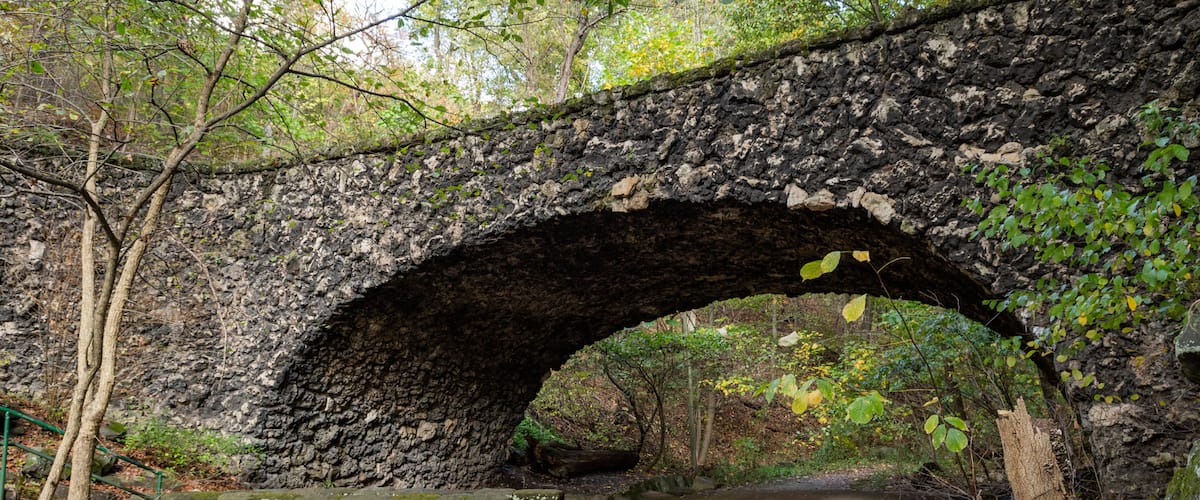 Schenley Park showing a garden and a bridge