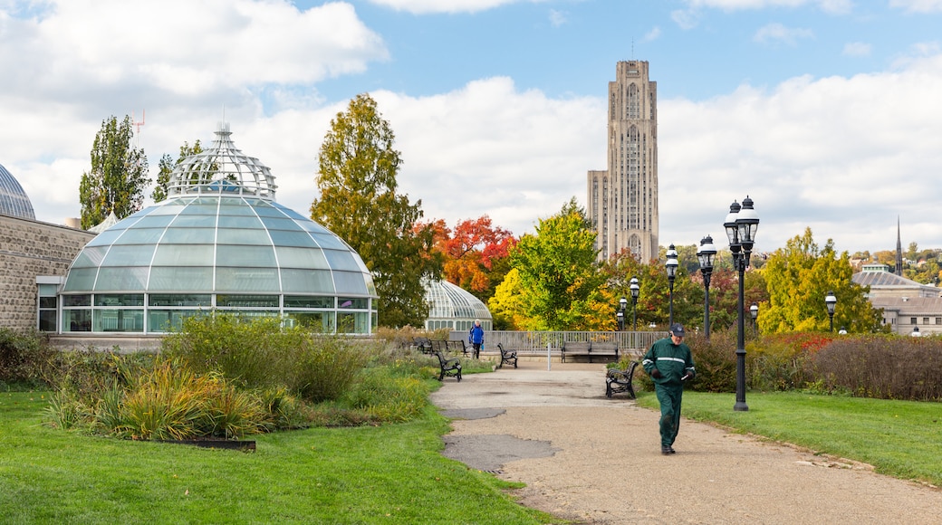 Universiteit van Pittsburgh