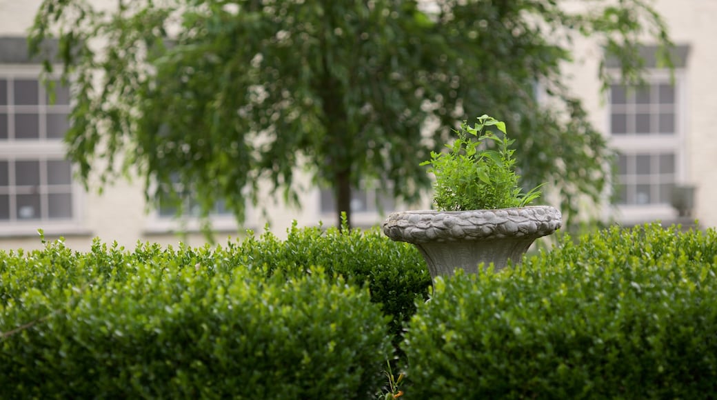 Berkeley Springs State Park featuring a garden