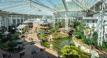 Opryland Hotel Gardens showing a garden and interior views