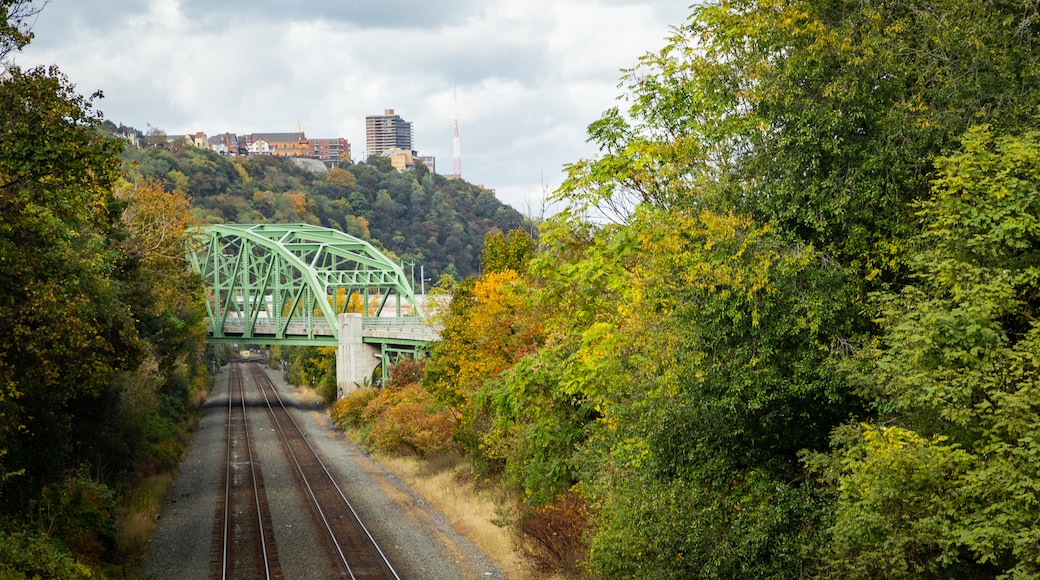 South Side Slopes