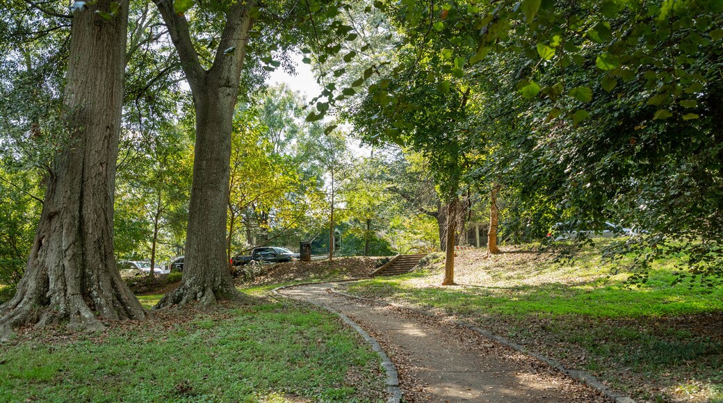 Grant Park featuring a park