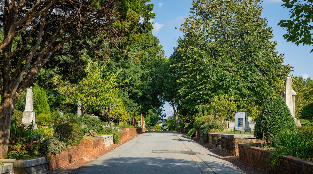 Oakland Cemetery