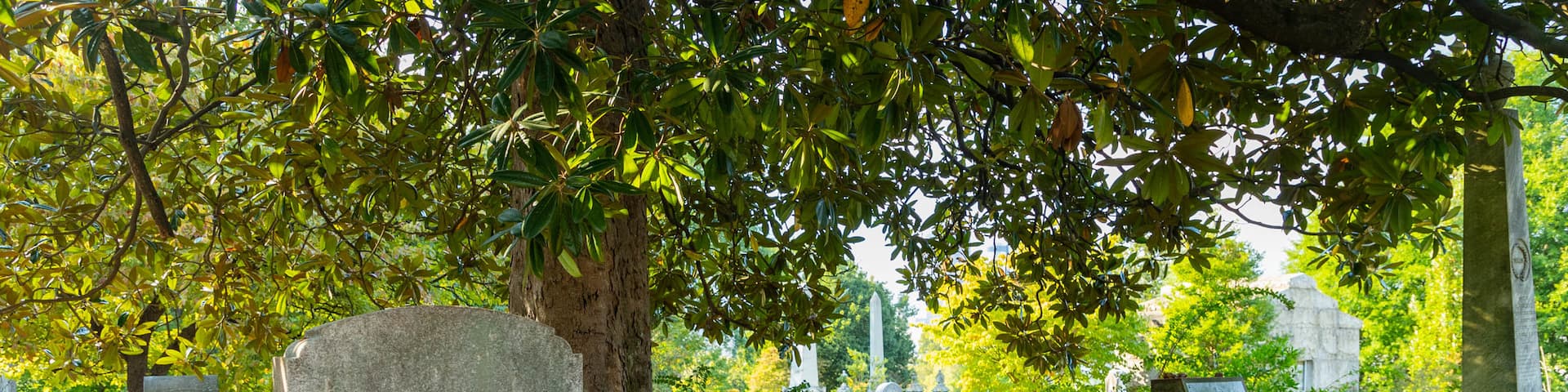 Oakland Cemetery showing a cemetery