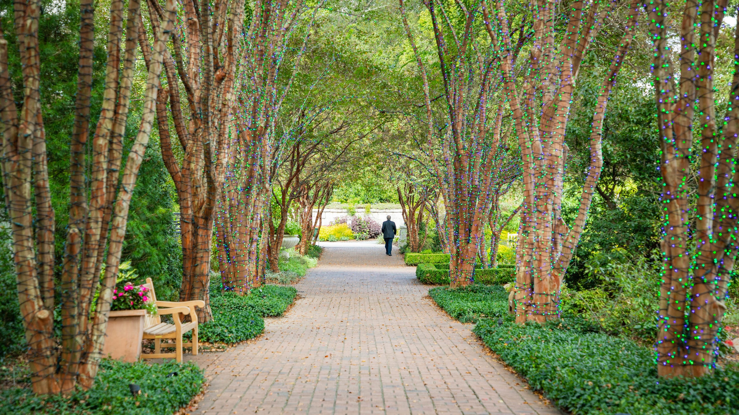 Atlanta Botanical Garden, Atlanta, Atlanta, Géorgie, États-Unis d’Amérique