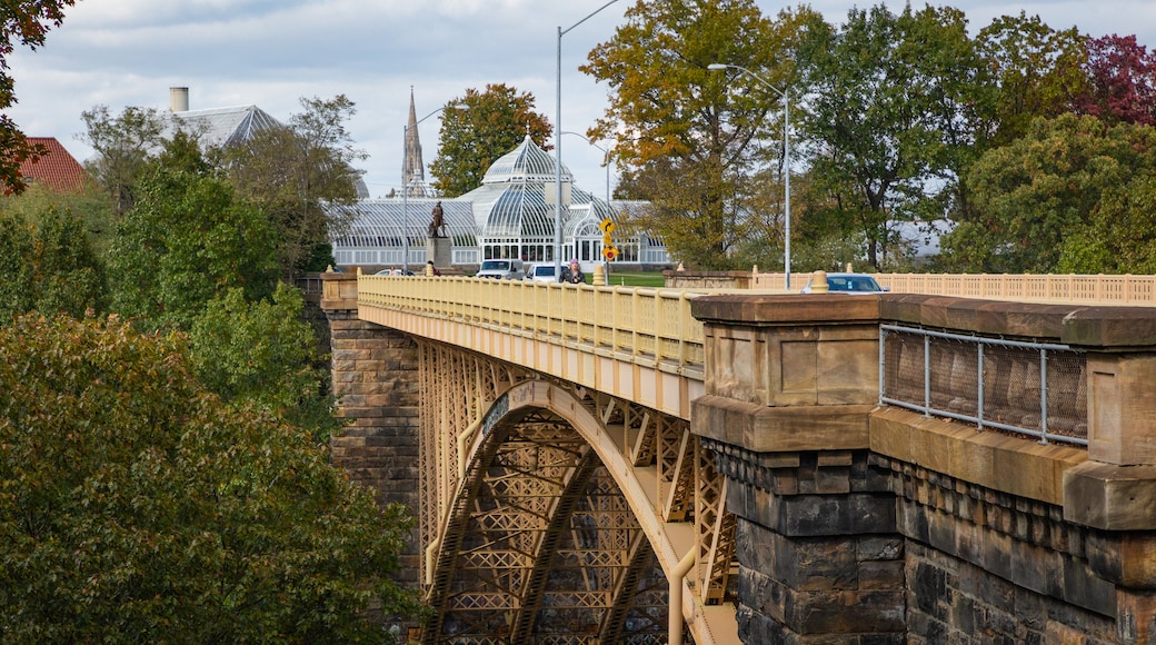 Schenley Park which includes a bridge