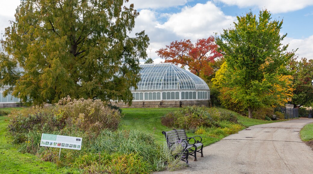 Schenley Park which includes a garden