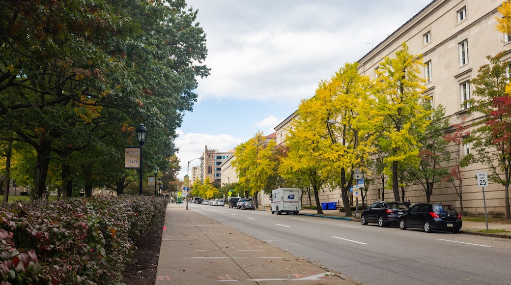 Università di Pittsburgh