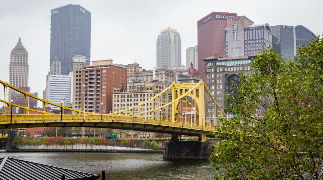 Downtown Pittsburgh showing a river or creek, mist or fog and a city