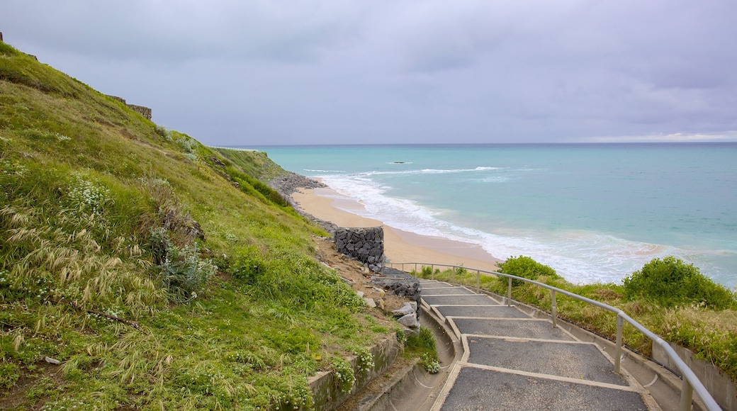 Bayonne och Biarritz