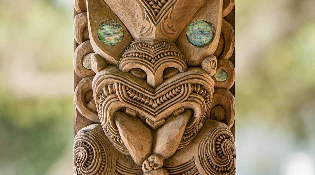 Terrenys del Tractat de Waitangi