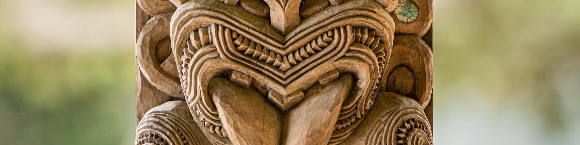 Waitangi Treaty Grounds which includes indigenous culture