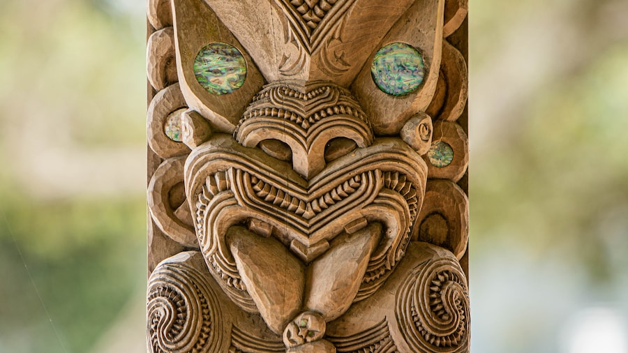 Waitangi Treaty Grounds