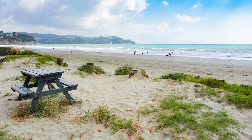 Orewa Beach