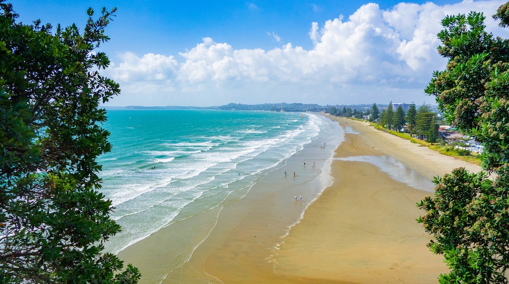 Orewa Beach