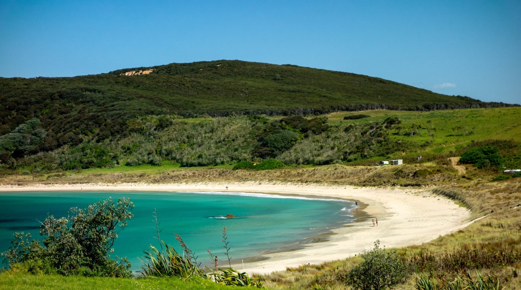 Doubtless Bay showing a beach, general coastal views and landscape views