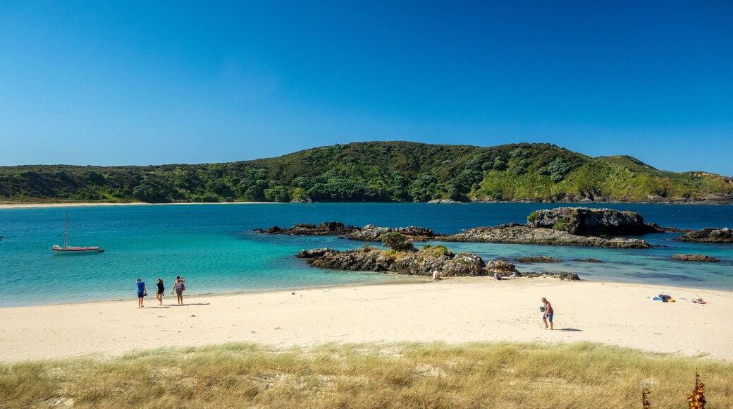 Doubtless Bay featuring general coastal views, rugged coastline and a sandy beach