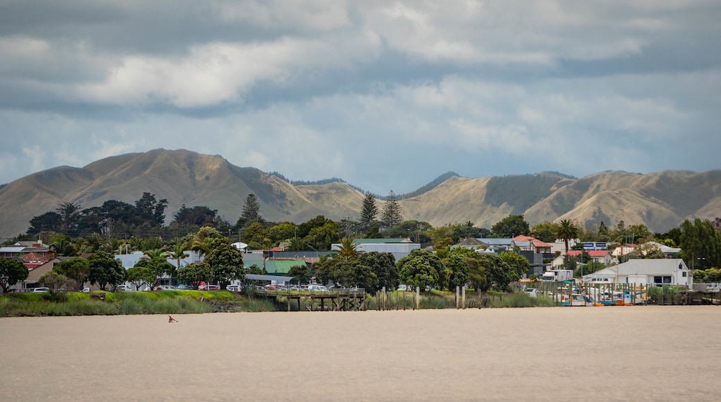 Dargaville